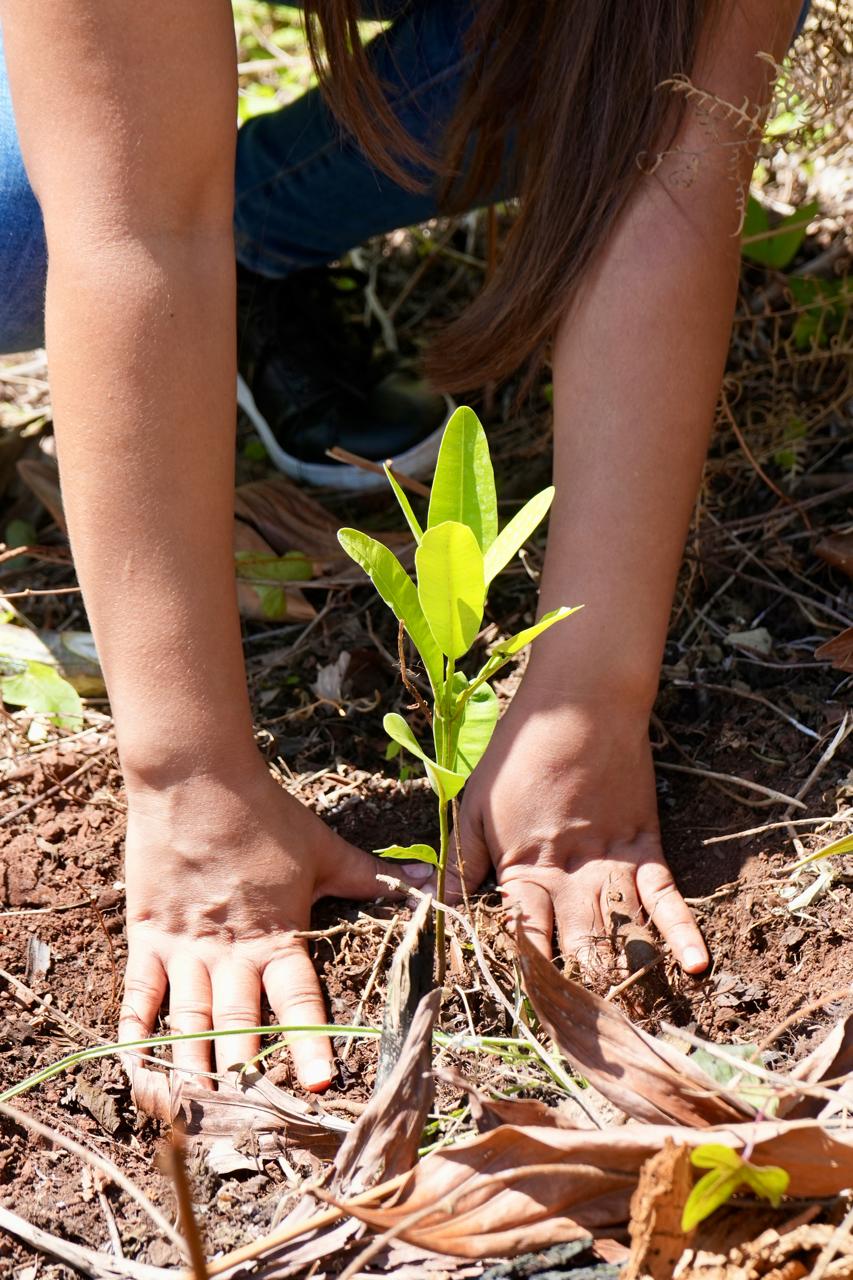 Compromiso Ambiental